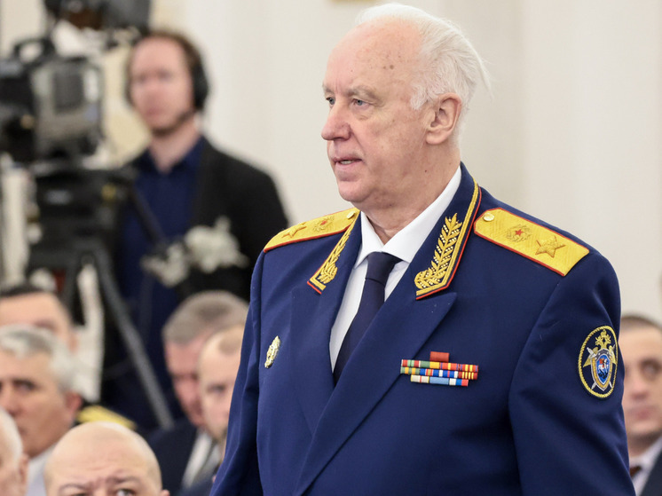 Глава СК России Бастрыкин потребовал доклад по делу о нападении на депутата Госдумы Матвеева