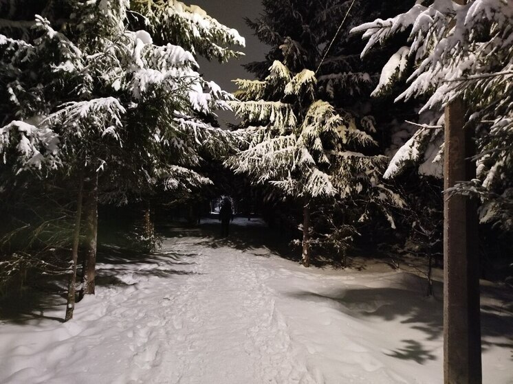 Лес, ванна и игры помогут качественно отдохнуть от работы в новогодние праздники