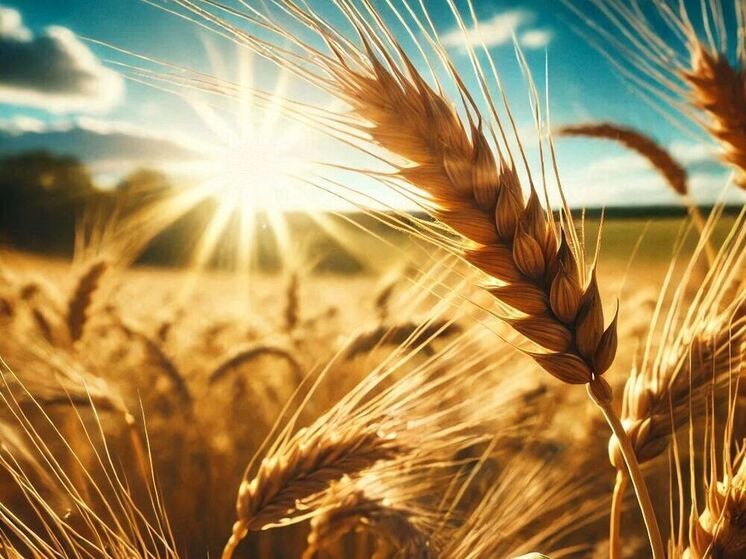 В Орловской области выявили 720 фактов нарушения при применении средств защиты растений