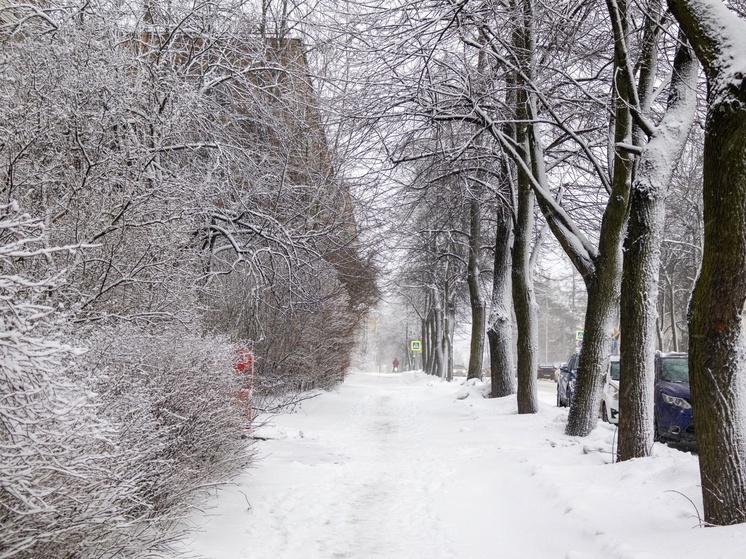 Главный синоптик России спрогнозировал снегопады в Карелии