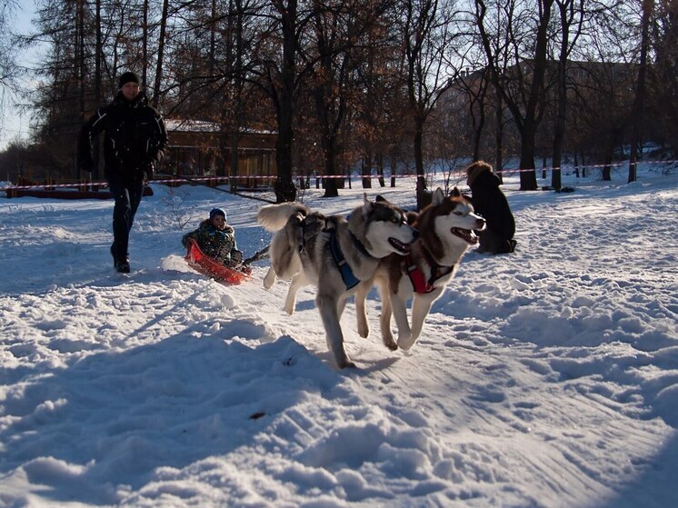 Минздрав дал советы для эффективного отдыха во время праздников