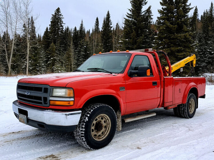 В Подмосковье появилась дорога в Королёв через «Лосиный остров»