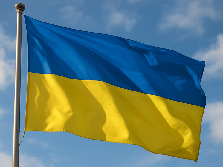 На Украине задержали бывшую руководительницу детского сада из Донецкой республики