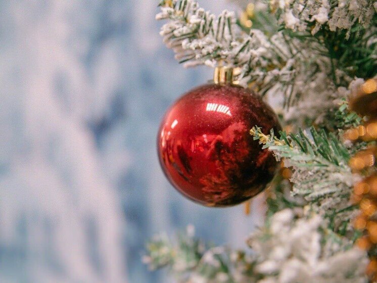 В Хабаровске 2 января от -12 до -14 градусов, несущественные осадки