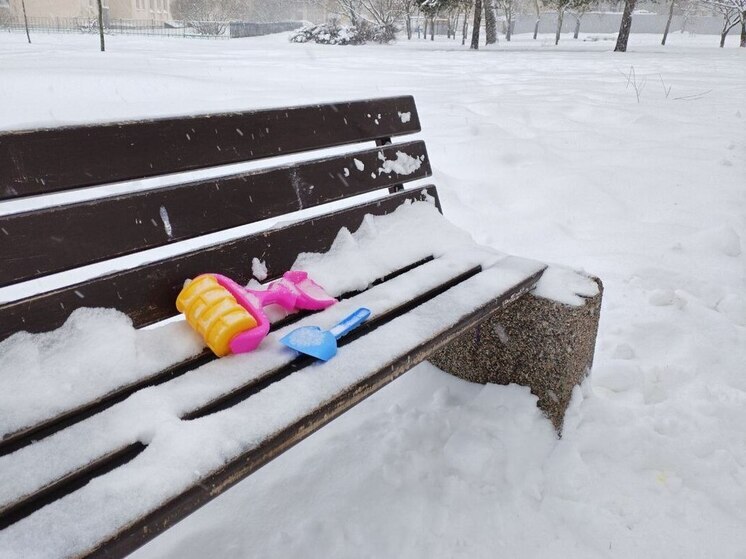 Ленинградцев 2 января ожидает снег, ветер и температура до -15 градусов