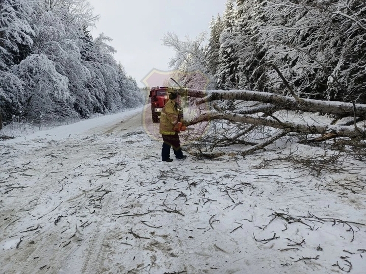 В Ярославле спасателям пришлось пропиливать дорогу для автомобилистов