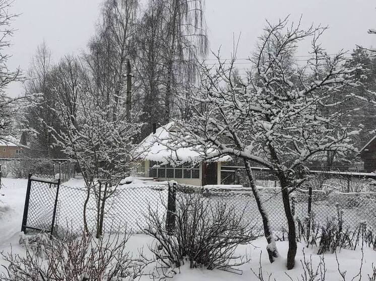 Эксперт Гапеев рассказал, стоит ли устанавливать на даче охранное оборудование