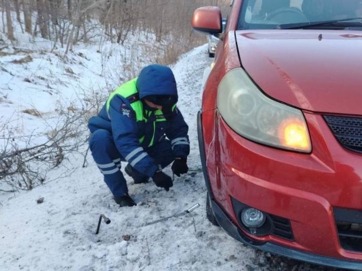 Матери-автолюбительнице помогли с заменой колеса на дороге Приморья