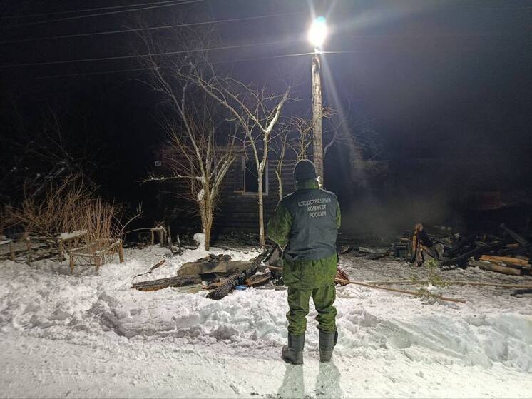 В Дновском районе проходит проверка гибели мужчины в пожаре