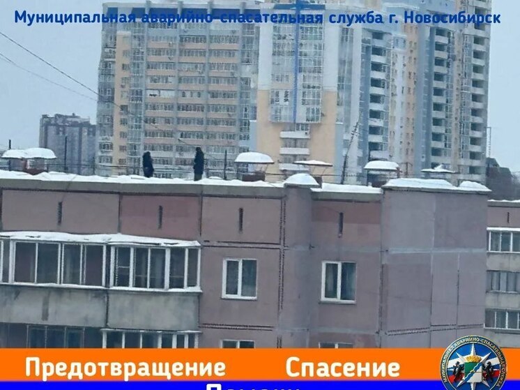 Опасные игры подростков на крыше дома в Новосибирске вызвали вызов полиции