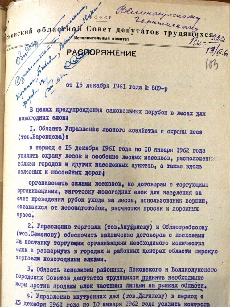 Псковичам рассказали, как в 1961 году боролись с массовой вырубкой елей