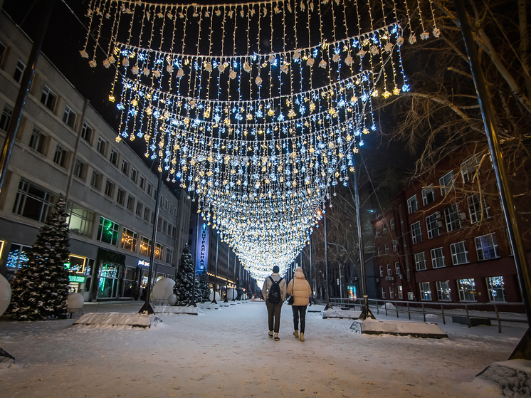 От лошадиных культур до снежных скульптур: куда сходить в Новосибирске