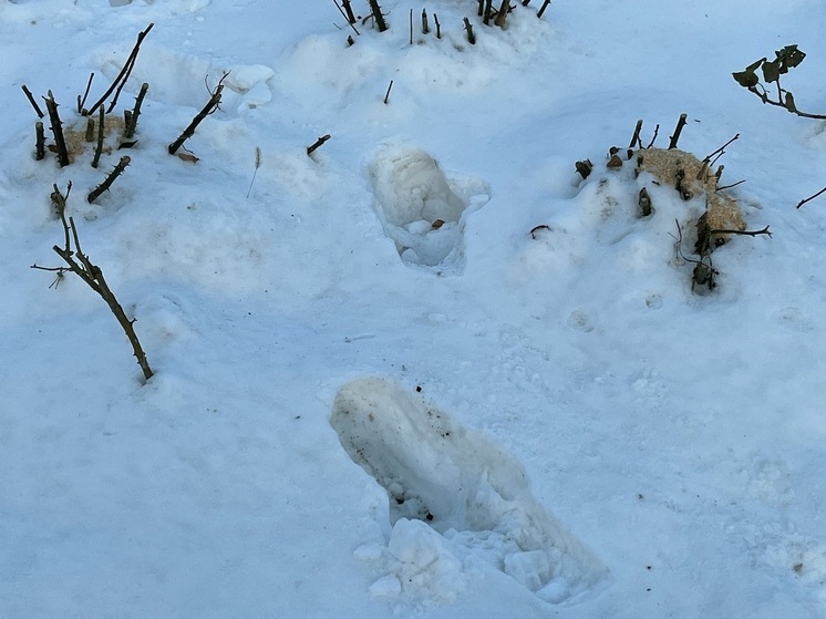 2 января сильнее похолодает, но до оттепели останется всего один день