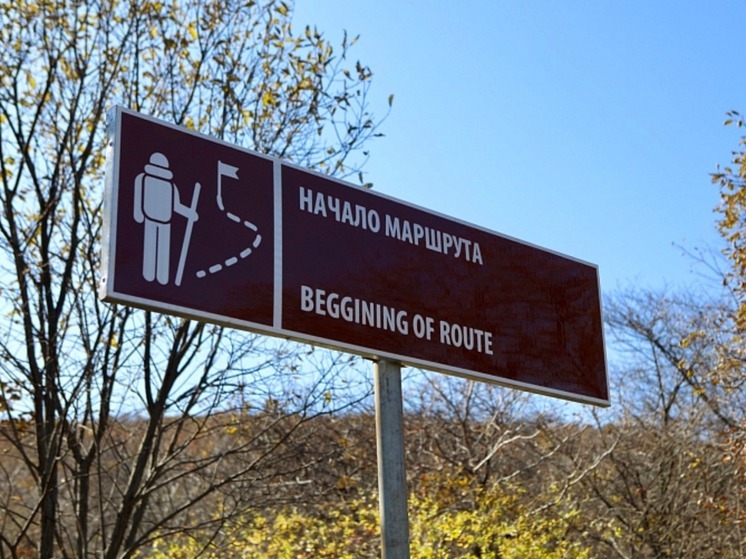 Около 70 фильмов представили приморцы на конкурс «Дальний Восток – Земля приключений»