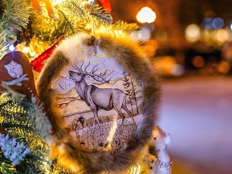 «Новогодние забавы» в хабаровском парке Гагарина посетит Дед Мороз