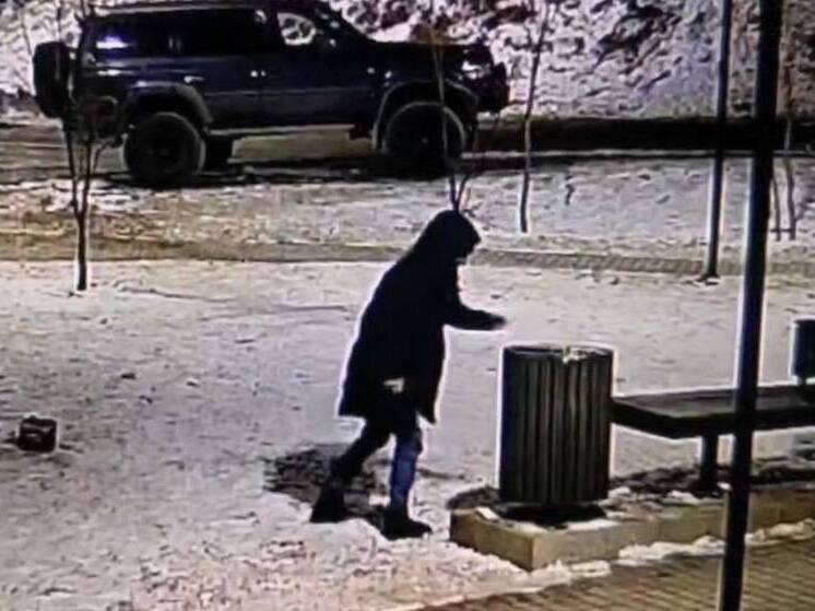 Забавы хулиганов: во Владивостоке неизвестные взорвали урну петардами