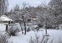 Петербуржцы-дачники любят уезжать на каникулы загород. Редакция "МК в Питере" пообщалась с основателем компании INSYTE Electronics, производителем системы "Умный Дом INSYTE" Сергеем Грибановым и узнала, как подготовить дачу, чтобы в ней было комфортно жить зимой. 