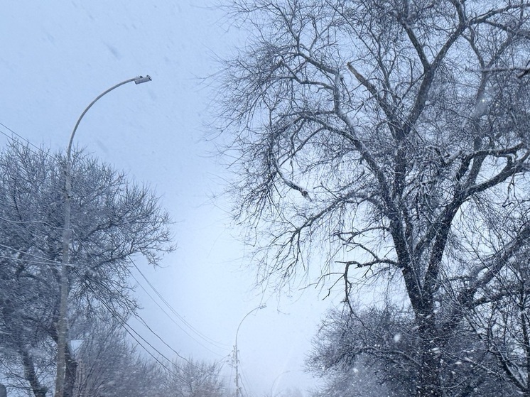 Люди не пострадали: в первый день нового года Ростовскую область атаковали беспилотники