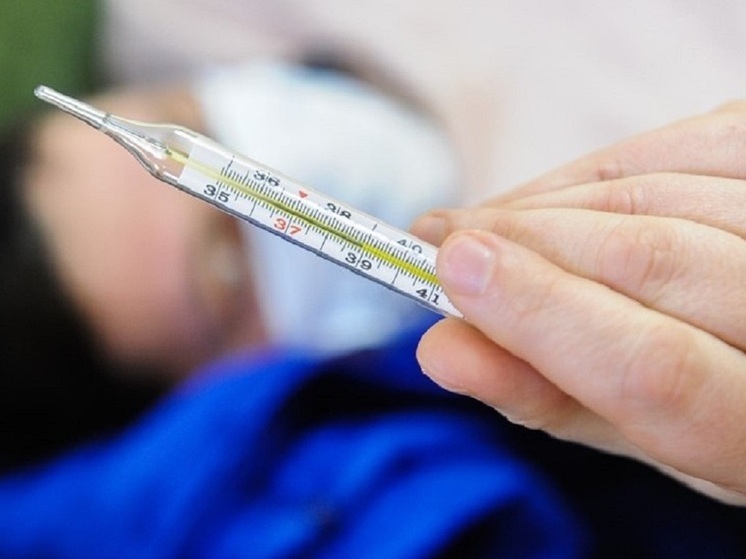 Владимирская область накрыта волной гриппа и ОРВИ