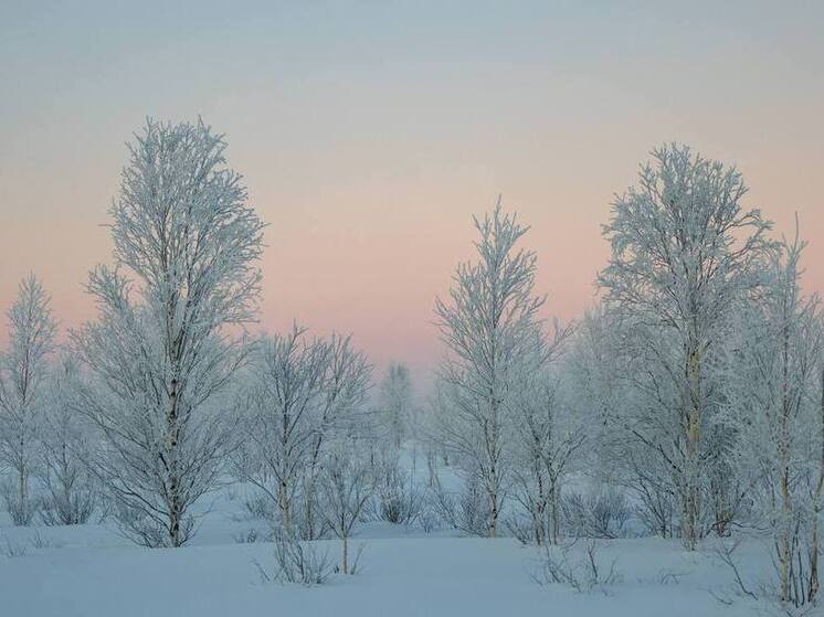 Двое тундровиков потерялись по дороге в чум в Ямальском районе