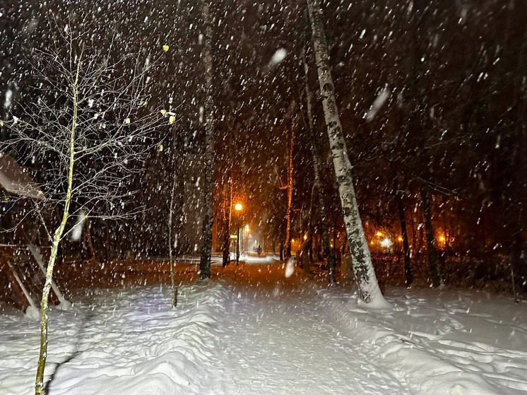 С 1 по 2 января над Рязанской областью сбили 16 БПЛА