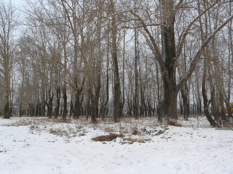 МЧС напоминает жителям Поморья: катание на снегоходах должно быть безопасным