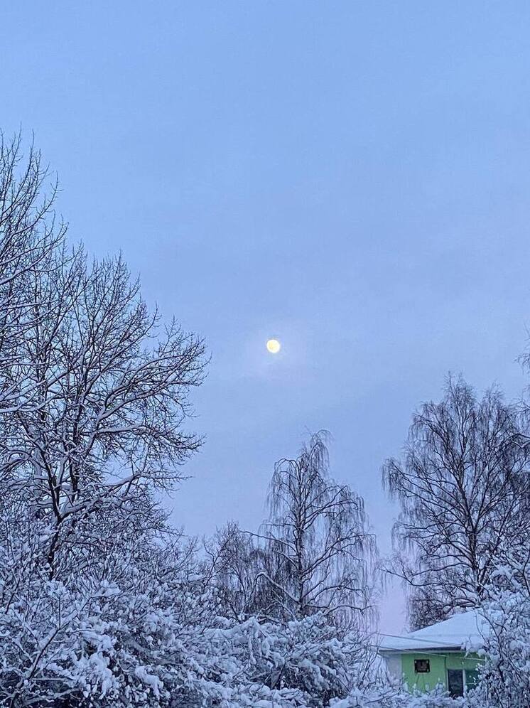 Метеоролог Сафонов рассказал о погоде в Московской области на предстоящую неделю