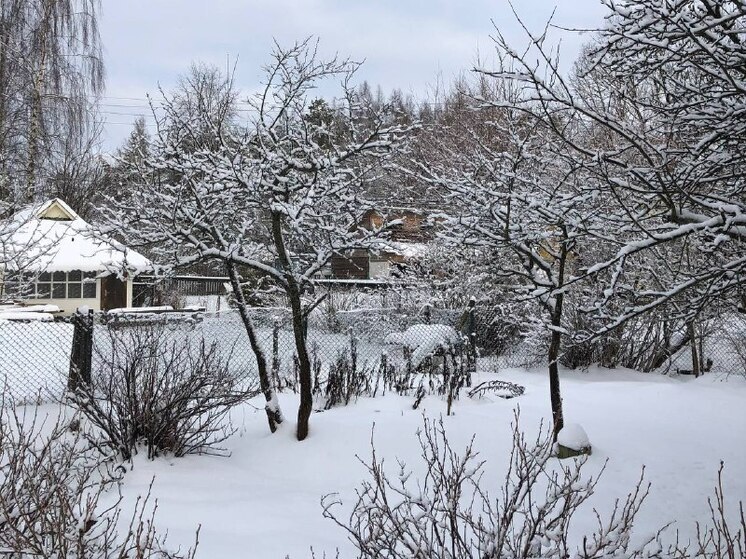 Петербуржцы-дачники любят уезжать на каникулы загород. Редакция "МК в Питере" пообщалась с основателем компании INSYTE Electronics, производителем системы "Умный Дом INSYTE" Сергеем Грибановым и узнала, как подготовить дачу, чтобы в ней было комфортно жить зимой. 
