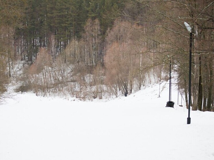 Сотрудники министерства лесного хозяйства Пензенской области усилят патрулирование в праздники