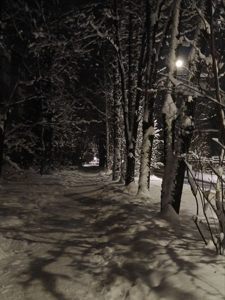 Синоптики рассказали о погоде на 3 января в Смоленске