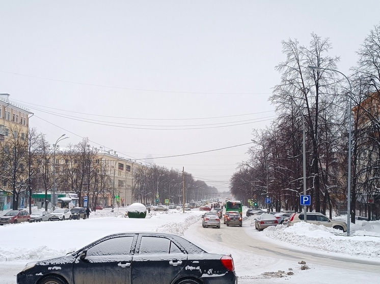 Хаски, которую сбили в Екатеринбурге, потребуется операция