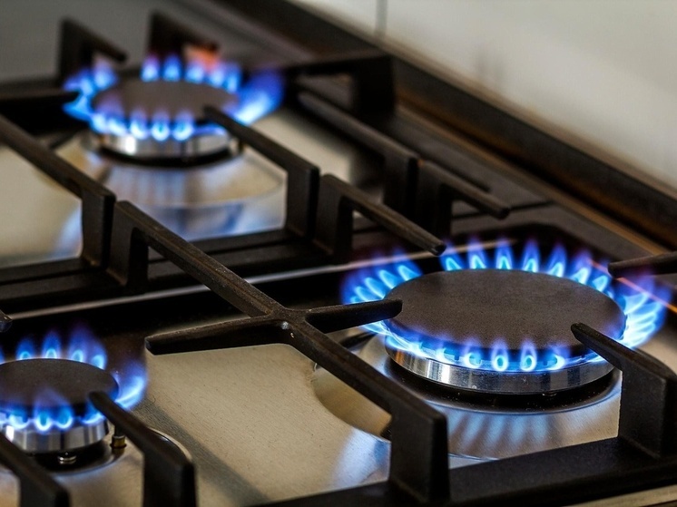 Жителям Пензенской области напомнили о правилах безопасного пользования газом в праздники