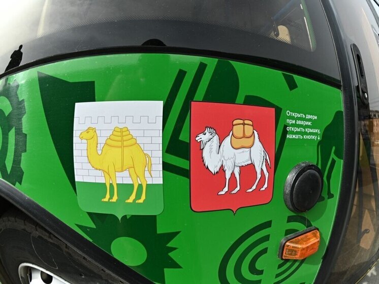 Более сотни новых автобусов получил Южный Урал по нацпроекту в 2025 году