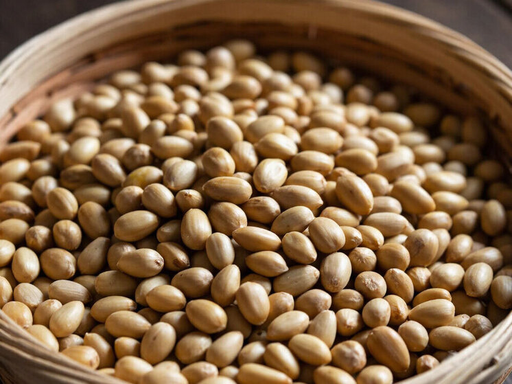 Новосибирский кедровый орех покоряет зарубежные рынки