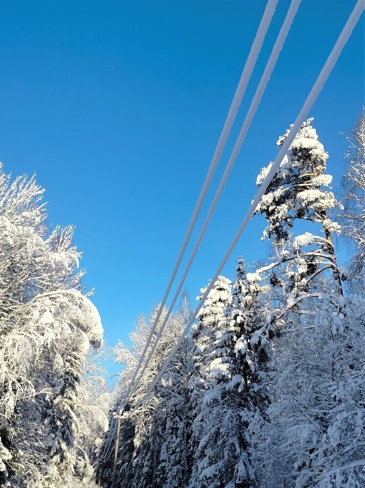 Энергетики ликвидируют последствия налипания снега на провода в Куньинском округе