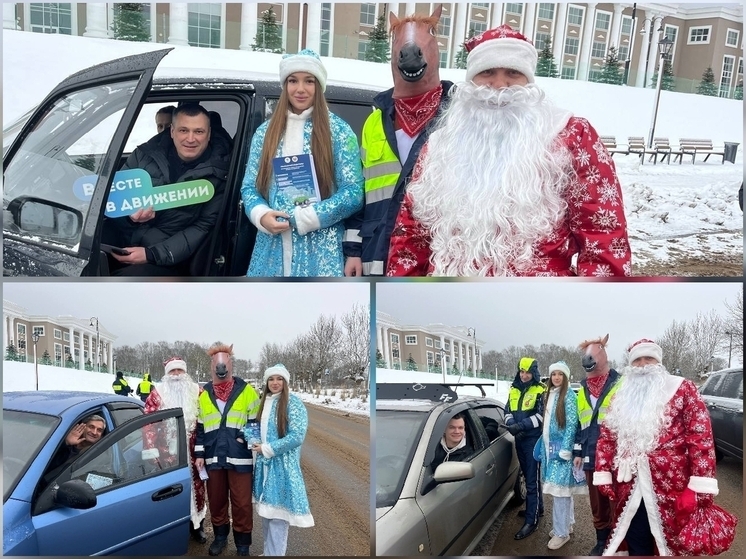 Дед Мороз, Снегурочка и Лошадь напомнили жителям Валдая о ПДД