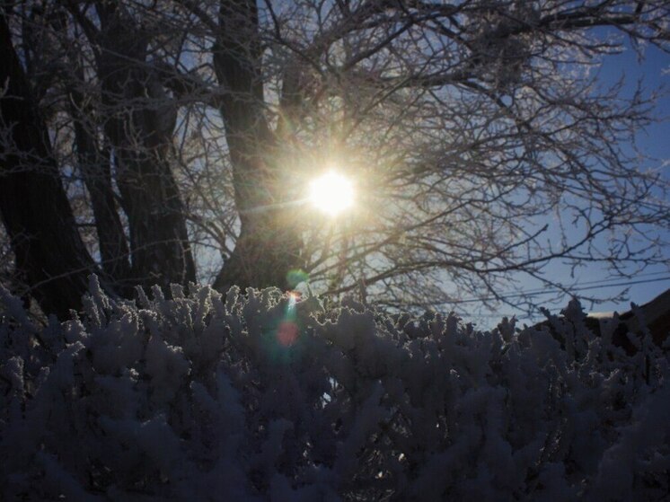 Мороз продолжит давить на петербуржцев 2 января