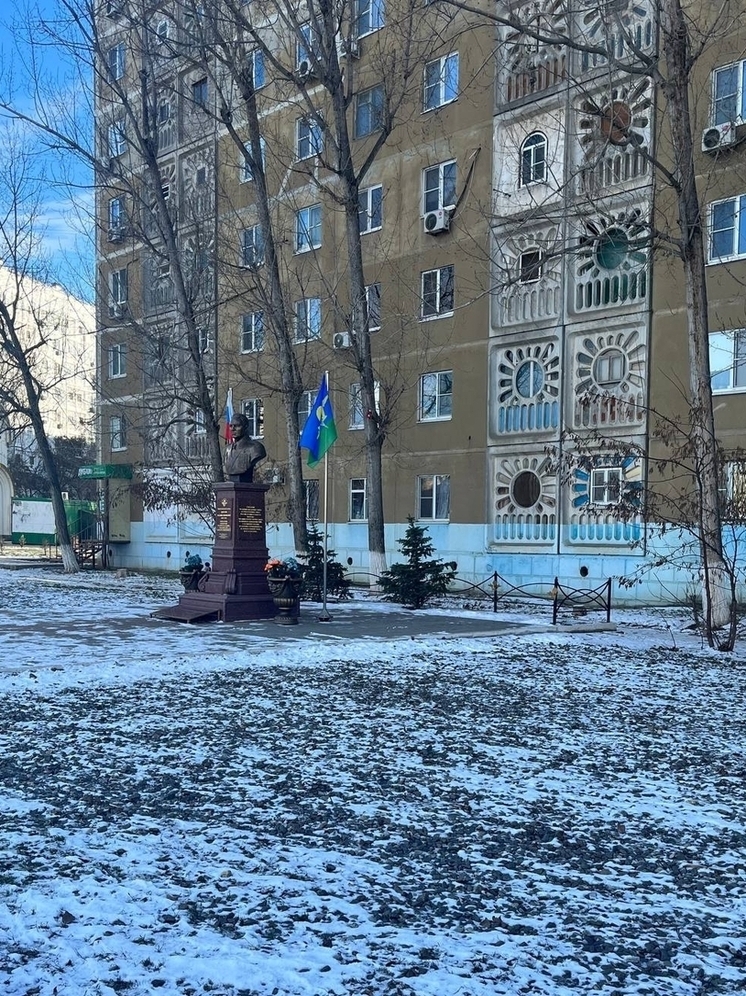 Ночная вырубка: в астраханском сквере вандалы спилили живую ель