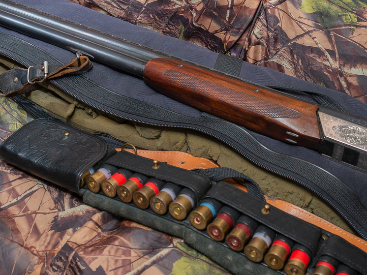 Пензенских владельцев оружия призвали усилить меры безопасности в новогодние праздники