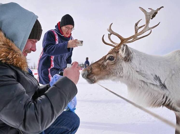 Более 200 гостей из разных регионов России отправятся на Ямал к оленеводам и в горные районы Полярного Урала, чтобы отпраздновать наступление 2026 года вдали от городской суеты, сообщает пресс-служба губернатора ЯНАО