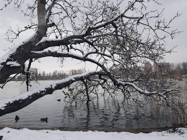 В Краснодаре установили новый температурный антирекорд этой зимы