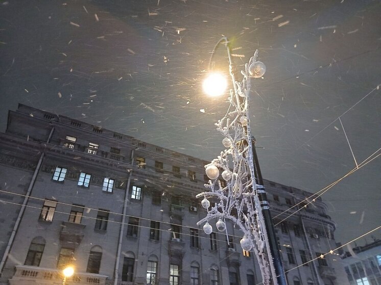 В Петербург и Ленобласть пришли ночные морозы до -20