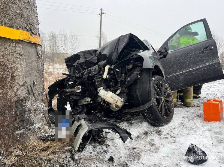 В Калининградской области под Несторовом расследуют смертельное ДТП