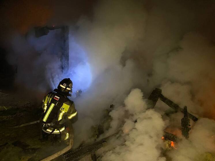 В Ленобласти пожарные-спасатели работали без отдыха: 31 происшествие за сутки