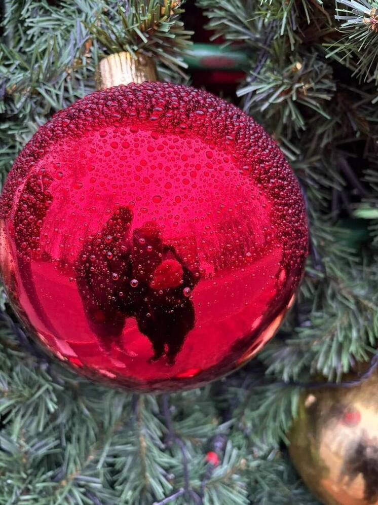 Штраф за позднюю прогулку: что нужно знать о «комендантском часе» для детей в Серпухове