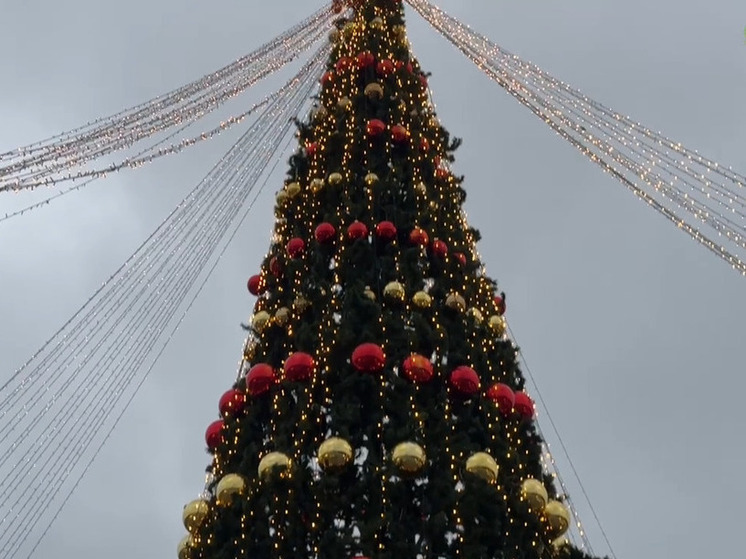 Для юных жителей и гостей Нальчика проведут серию новогодних мероприятий