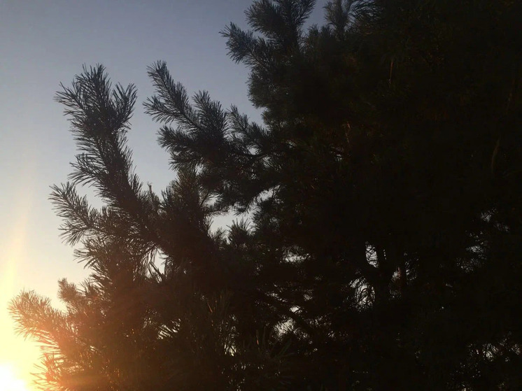 Угрозу беспилотной опасности отменили в Рязанской области