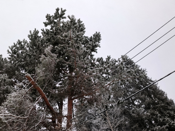 Сильнейшие зимние морозы обрушились на Центральную Россию