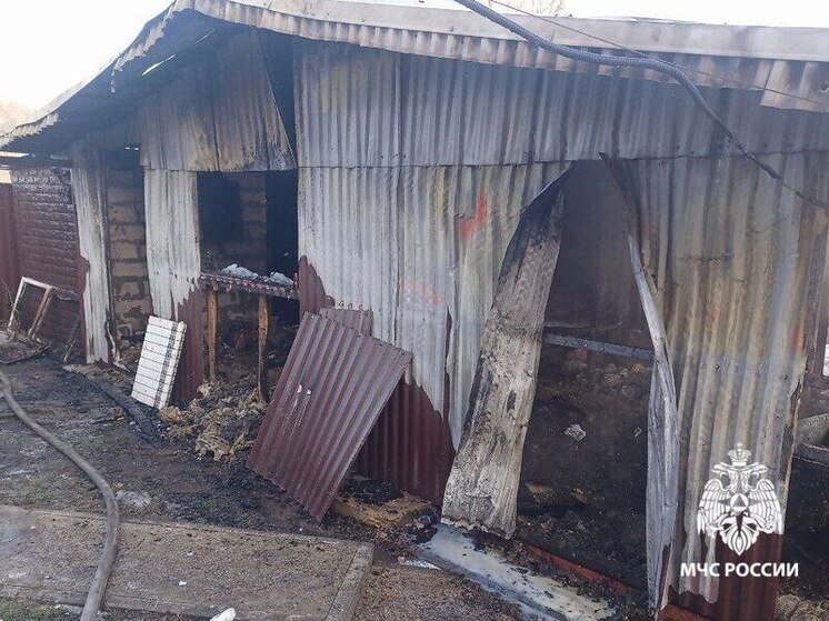 1 января в Пронске сгорела хозпостройка