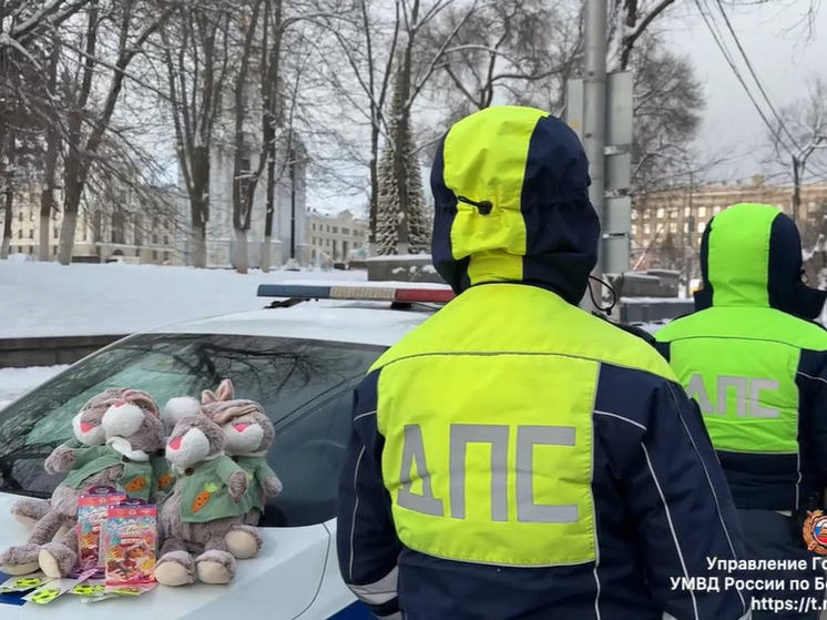 В Белгороде автоинспекторы поздравили с Новым годом маленьких пассажиров
